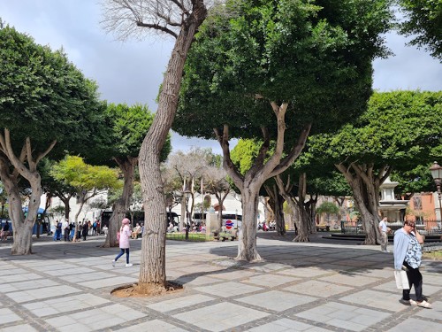 Plaza del Adelantado