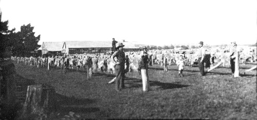 3048 Glenelg Highway - former home of Henry O'Beirne