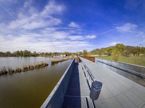 Wuhle Pond – A Quiet Haven for Wildlife and People