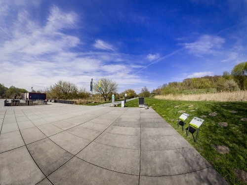 Urban Grazing – Conserving Nature with the Help of Sheep 