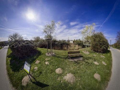 Volunteering – The Roots of Kienbergpark