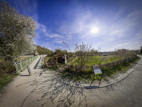 Kienberg Garden –A Wild Welcome to Everyone