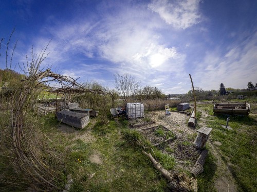 Still Growing – The Edible Forest