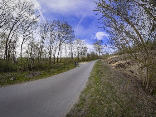 Sustainable Forest Management – Shaping a Resilient Future