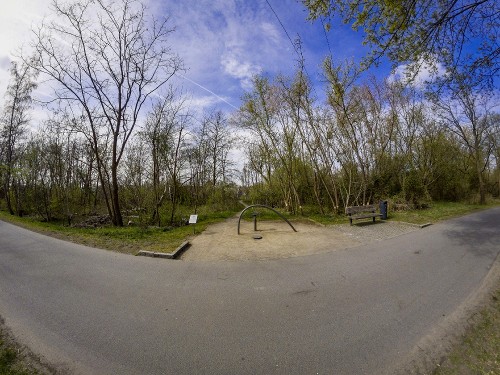 Protecting Frogs on the Move – Toad Fences and Migration