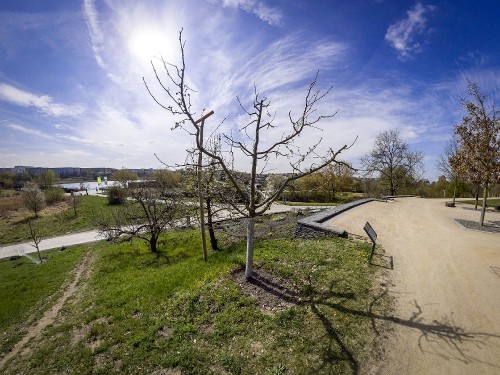 A Taste of the Past – Fruit Terraces on the Southern Slope