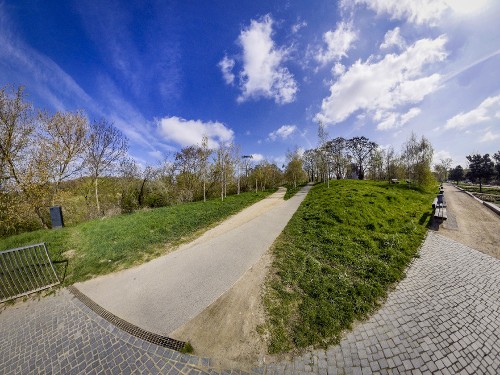 Paws in the Park – Walking the Dog in Harmony with Nature