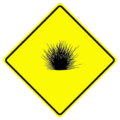 Silbergras
