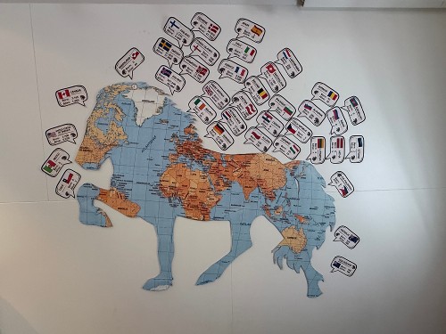 Icelandic horses around the world