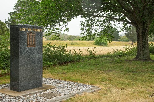 Denison St - Avenue of Honour