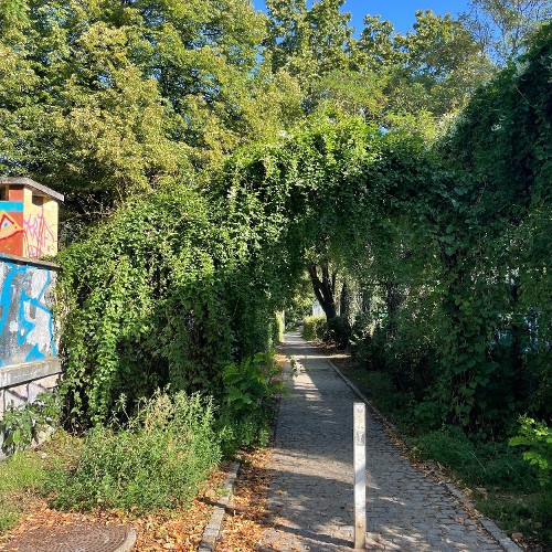 Du hebst deinen Kopf...