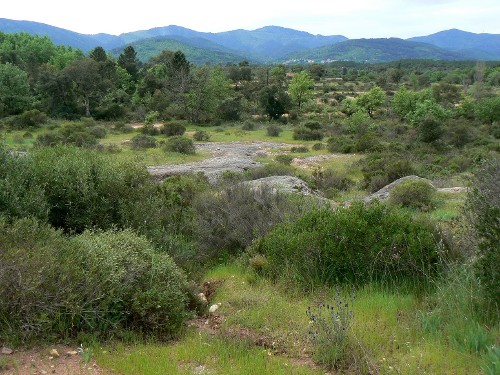 Massif des Maures