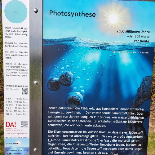 EISZEIT (vor 2,5 Mrd. Jahren)