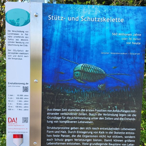 KAMBRISCHE EXPLOSION (vor 560 Mio. Jahren)