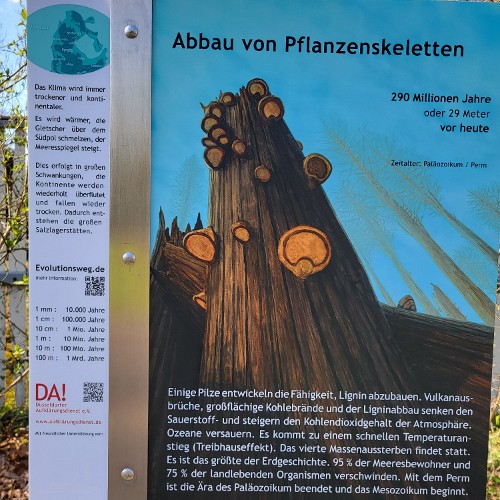 MASSENAUSSTERBERN (vor 290 Mio. Jahren)