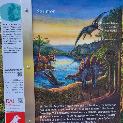 REPTILIEN (vor 235 Mio. Jahren)