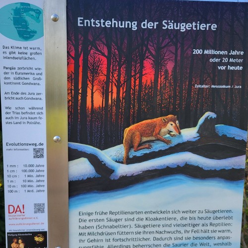 SÄUGETIERE (vor 200 Mio. Jahren)