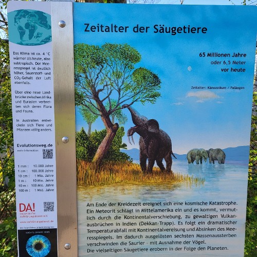 AUSSTERBEN DER DINOSAURIER (vor 65 Mio. Jahren)