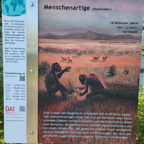 HOMINIDEN (vor 18 Mio. Jahren)