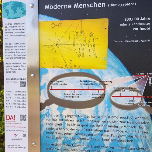 HOMO SAPIENS (vor 200.000 Jahren)