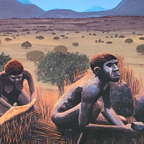 MENSCHENARTEN (vor 7 Mio. Jahren)