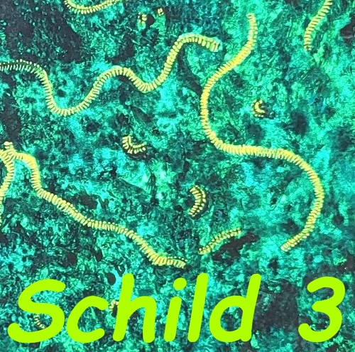 BEGINN DES LEBENS (vor 4.100 Mio. Jahren)