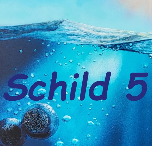 PHOTOSYNTHESE / EISZEIT (vor 2.500 Mio. Jahren)