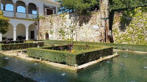 Court of the Sultana's Cypress