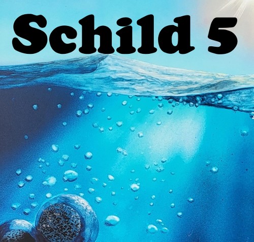 PHOTOSYNTHESE / EISZEIT (vor 2.500 Mio. Jahren)