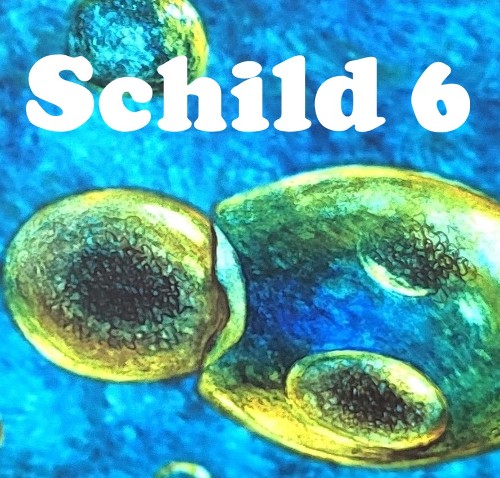 ZELLEN MIT ZELLKERN / MEHRZELLER (vor 1.300 Mio. Jahren)