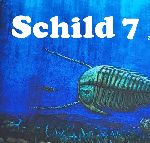 STÜTZ- UND SCHUTZSKELETTE (vor 560 Mio. Jahren)