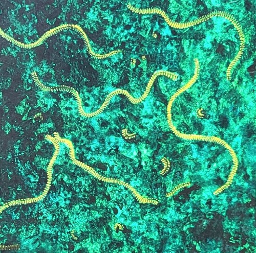 "BEGINN DES LEBENS" (vor 4.100 Mio. Jahren)