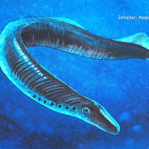 "WIRBELSÄULE DER FISCHE" (vor 505 Mio. Jahren)
