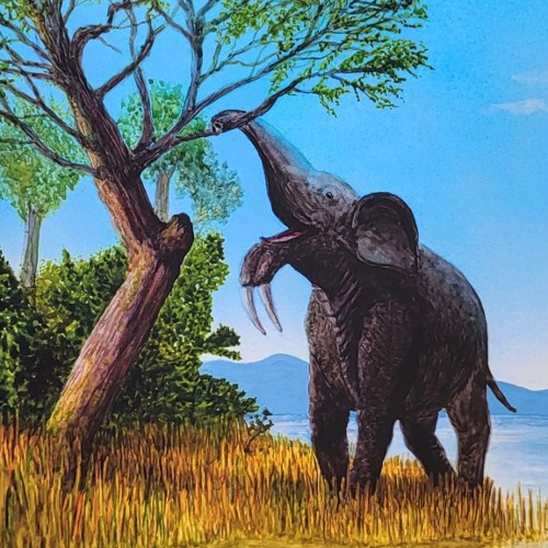 "AUSSTERBEN DER DINOSAURIER" (vor 65 Mio. Jahren)