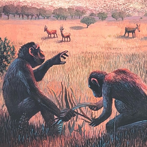 "HOMINIDEN" (vor 18 Mio. Jahren)