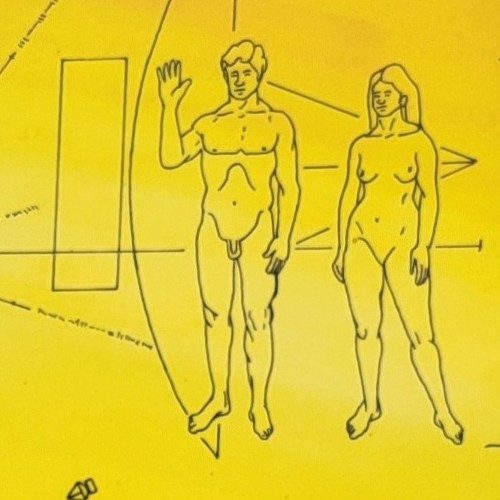 "HOMO SAPIENS" (vor 200.000 Jahren)