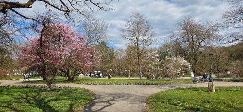 Ostpark - Blumenbeete