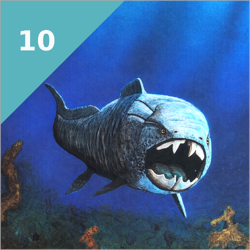 KIEFER / ZÄHNE (vor 420 Mio. Jahren)