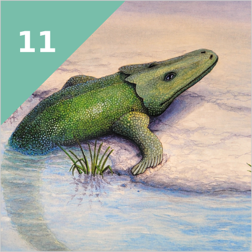 FISCHE AN LAND (vor 375 Mio. Jahren)