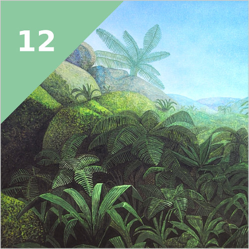 WÄLDER (vor 350 Mio. Jahren)