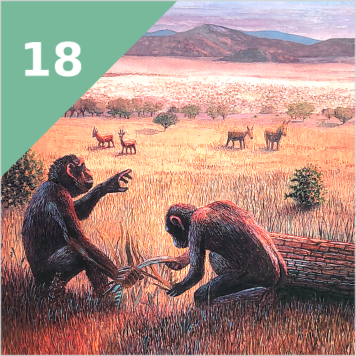 HOMINIDEN (vor 18 Mio. Jahren)