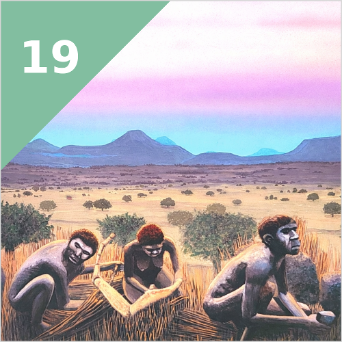 MENSCHENARTEN (vor 7 Mio. Jahren)