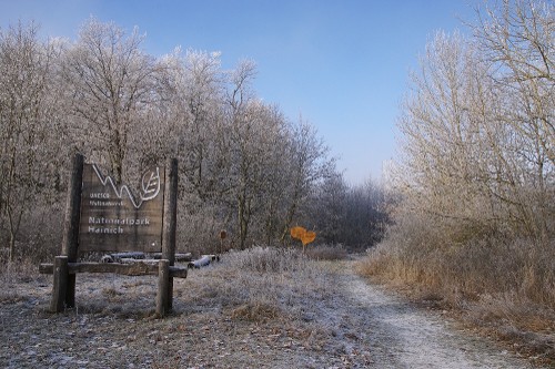 Pfad der Begegnung