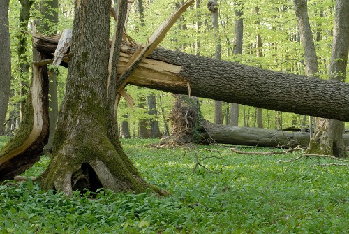 Der künstlerische Blick