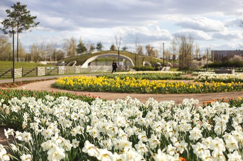 Blumenarena