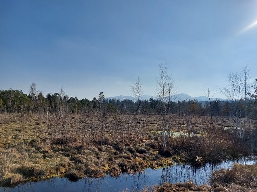 Wegbeschreibung