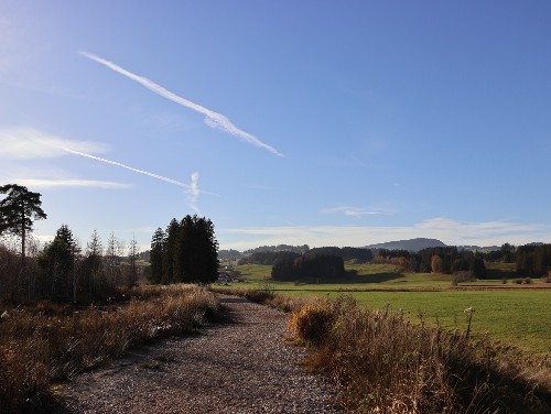 Station 3 - Wächter im Moor