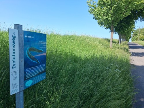 Punkt 15   Steinbergstraße