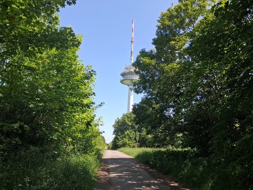 Punkt 16    Abzweig zum Fernsehturm