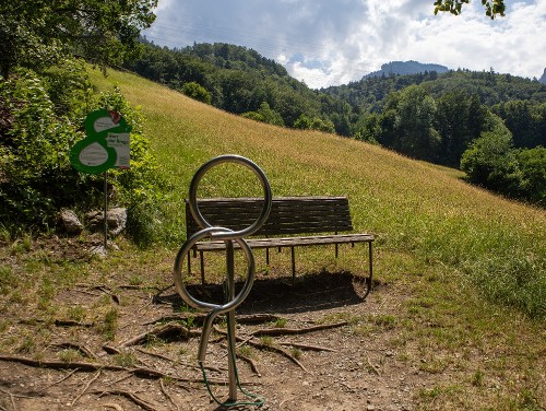 StaO 1